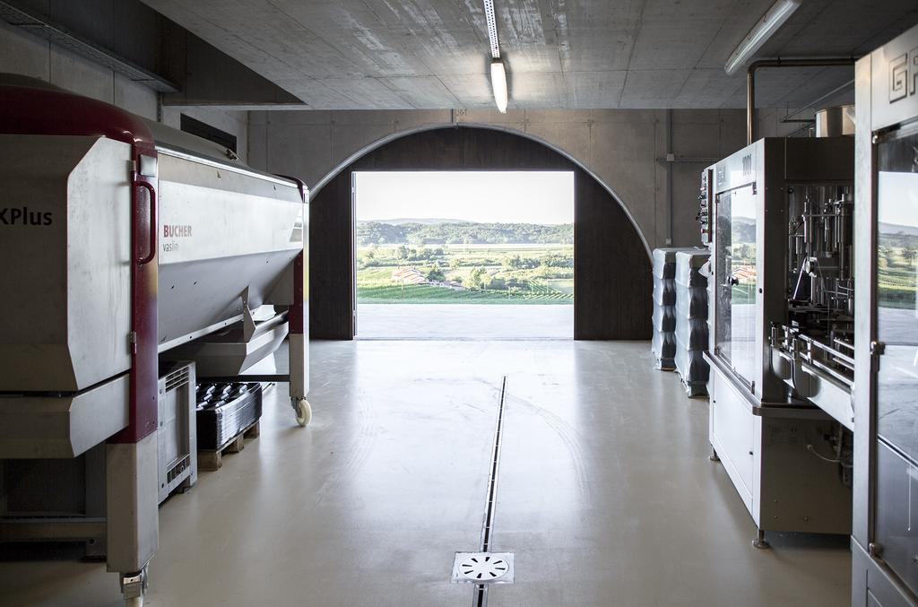 Apartmán Fana Estate Dobrovo Exteriér fotografie